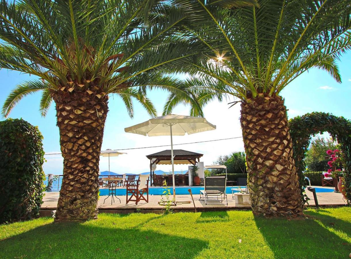 Coral Suite PalaiónTsiflíkion Exteriér fotografie